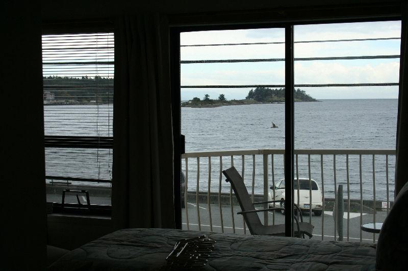 Ocean front/ Ocean view, one bedroom, Departure bay (**Rented**)