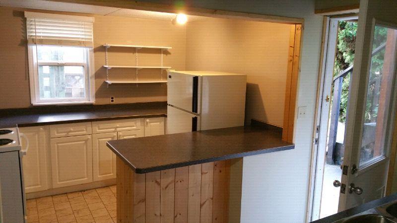 1 bed quiet walk-in suite, downtown castlegar