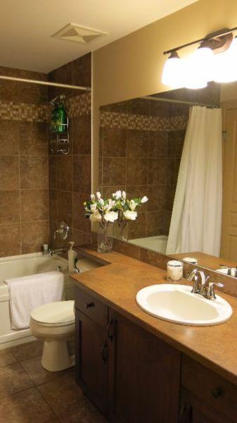 Playa del Sol 1 bedroom + den term rental