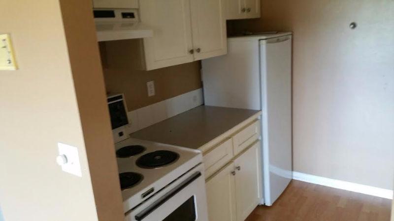 2 bedroom apartment for rent in Logan Lake