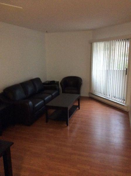 Fully furnished 2 bedroom apartment for rent