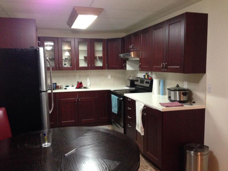 Pet friendly, 2 bed basement suite in the horseshoe for rent!