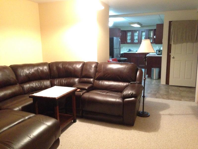 Pet friendly, 2 bed basement suite in the horseshoe for rent!