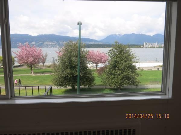 Beautiful 2BR Apartment, across from/views of Kits beach/pool