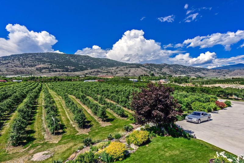 Luxury Family Home and Small Farm in Osoyoos - B&B Potential