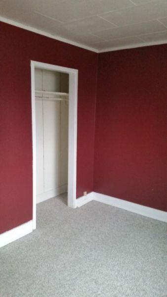1 Bdrm Bright Downtown Bsmt Suite, Internet and Telus TV Includ