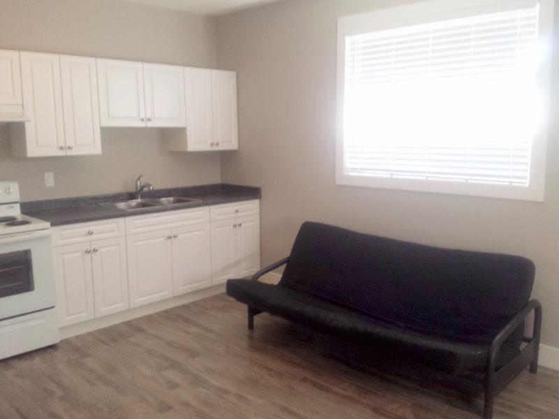 2 BED FURNISHED SUITE 5 MINS FROM TRU *NEW EXECUTIVE HOME*