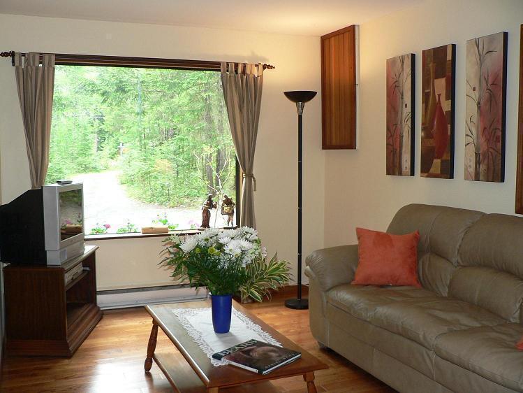 Close to Falls and Beaches - Private 2 BR with woodstove