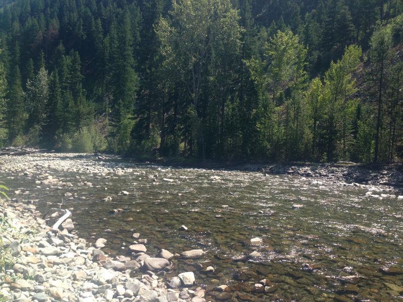 Moyie River placer gold claim for sale $3500