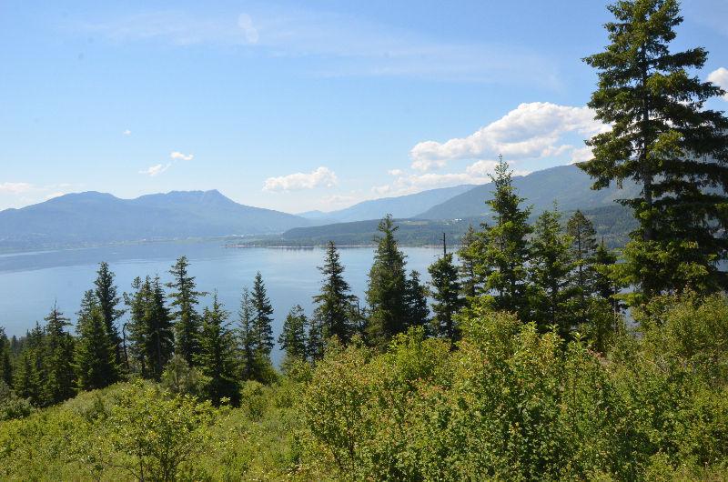 40 acres in beautiful BC Shuswap for sale