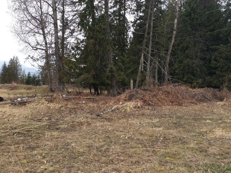 One acre lot for sale in Nakusp B.C