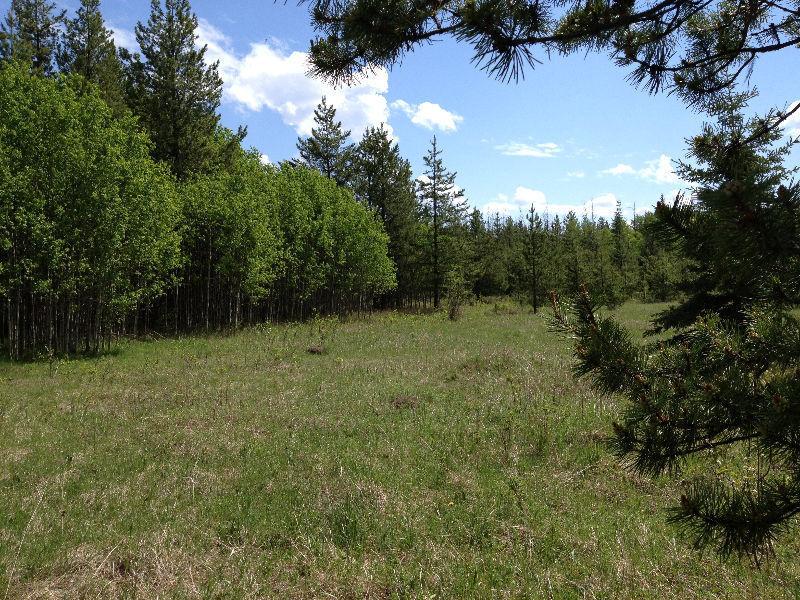 5 ACRE LOT VENDOR FINANCING AND ONLY $34,900