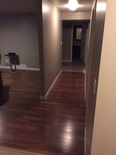 Looking for Roommate