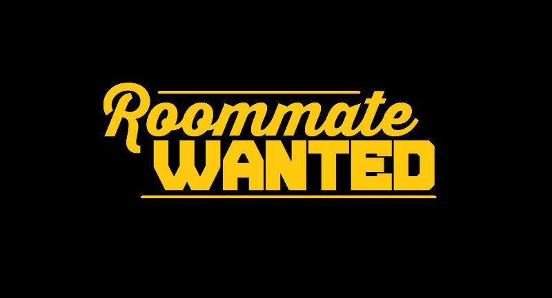 Wanted: Looking for a suitable roommate for North  Apartment
