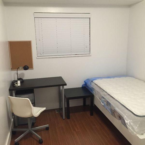 Newly renovated rooms with new furniture