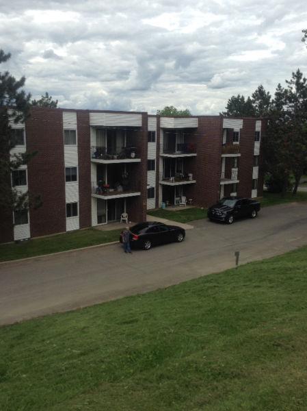 1 BDRM FOR SEPT 1ST ON ANGELVIEW
