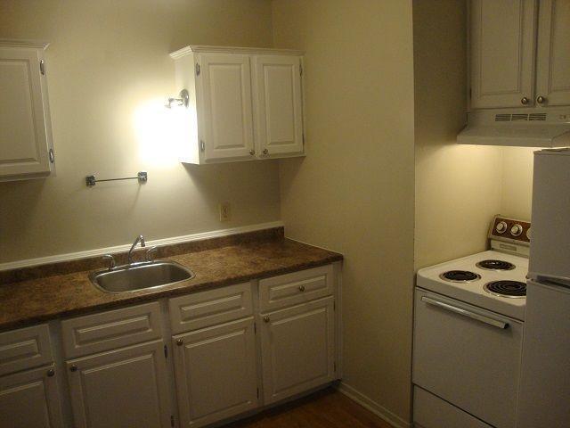 1 BEDROOM - SEPT 1ST - DOWNTOWN - UPDATED - NO CARPET