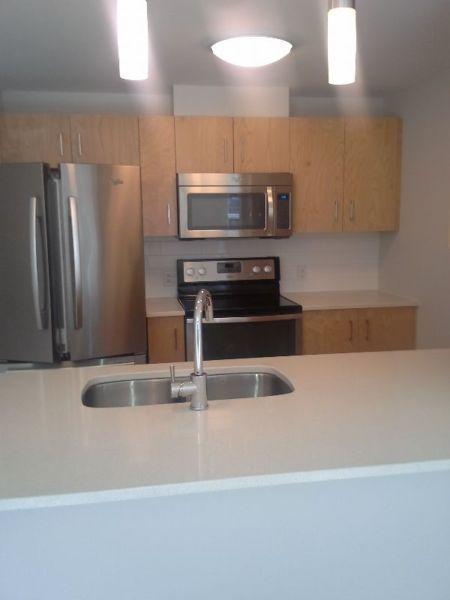 2 bedroom and 2 bathroom apartment for rent in a new building
