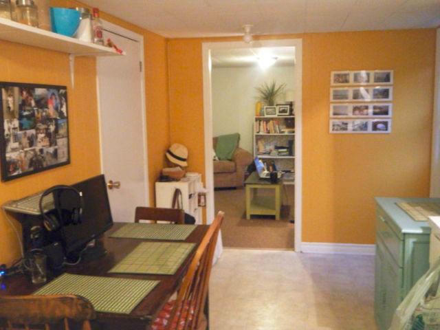 PET FRIENDLY, 2BDR lower level apt /walkout to private backyard!