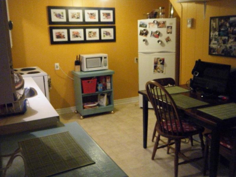 PET FRIENDLY, 2BDR lower level apt /walkout to private backyard!