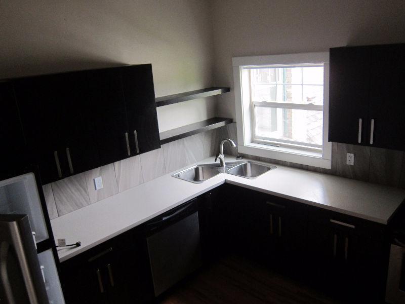 Beautifully renovated 2 bedroom apartment in Scotia Heights