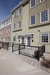 Newer Townhouse for Rent in Bridgewater