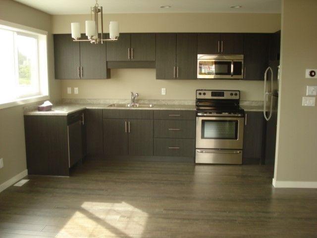 3 bed finished basement condo for rent Sep1