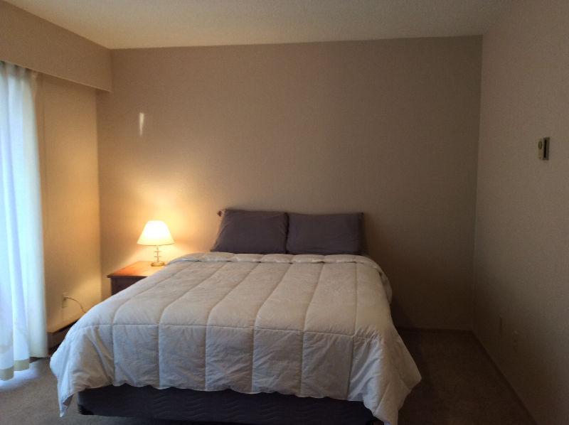 Bachelor Apt Sublet (available immediately)