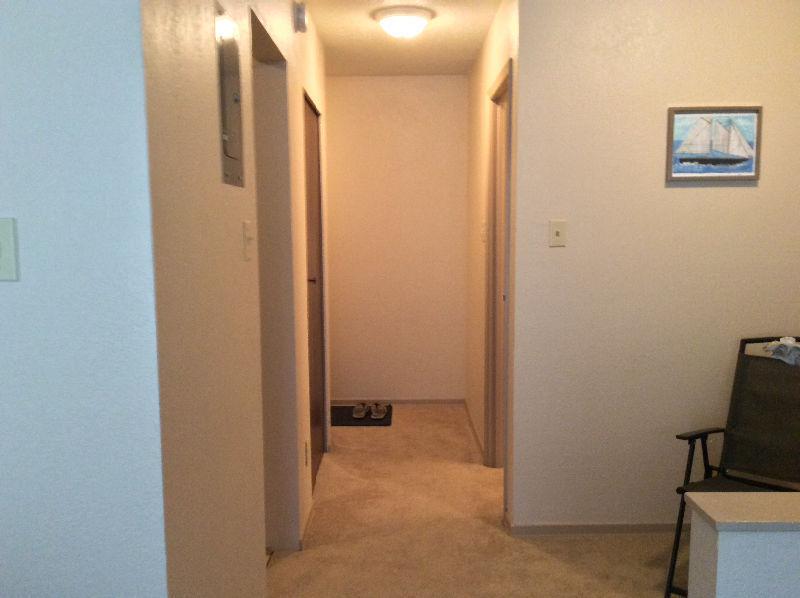 Bachelor Apt Sublet (available immediately)