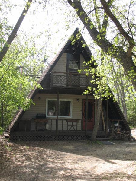 Oak lake beach cabin for sale