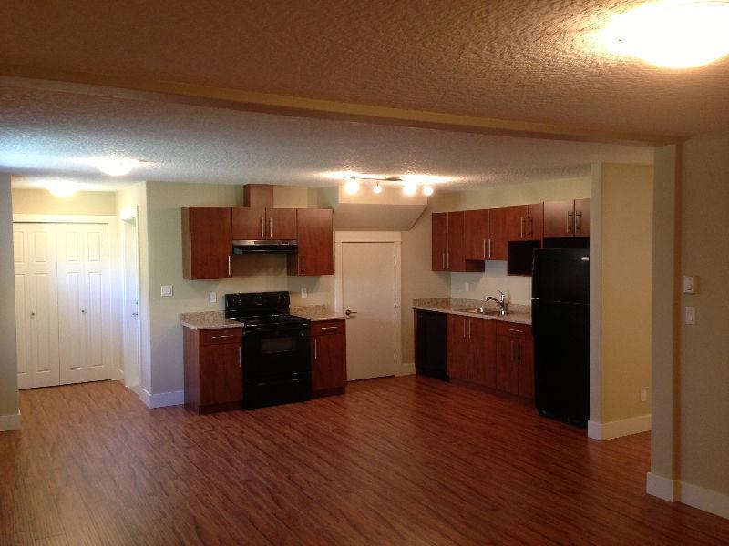 $1,100 · BRIGHT NEW 2 BED 1 BATH SUITE FOR RENT AVAIL SEP 1st