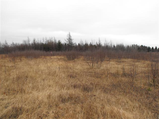 Terrain 1.2 acres, arpenté , Allée Dominique à Tracadie-Sheila