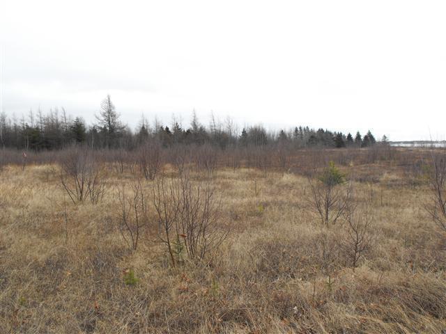 Terrain 1.2 acres, arpenté , Allée Dominique à Tracadie-Sheila