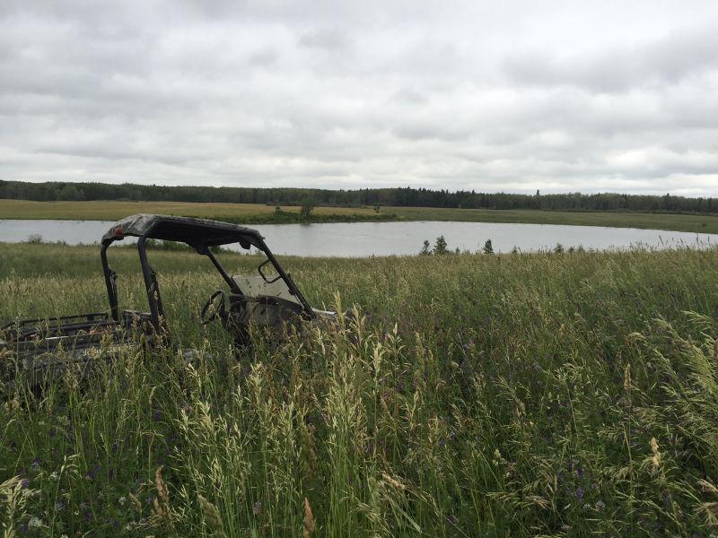 Land for Sale North of Roblin