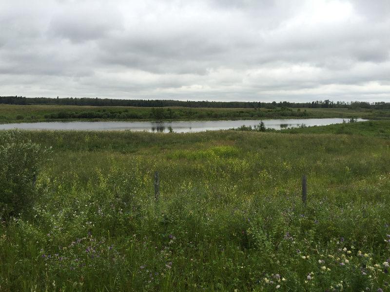 Land for Sale North of Roblin