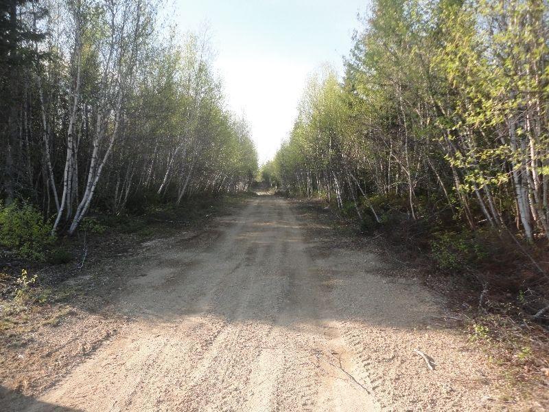 22-25 acres of land in neguac