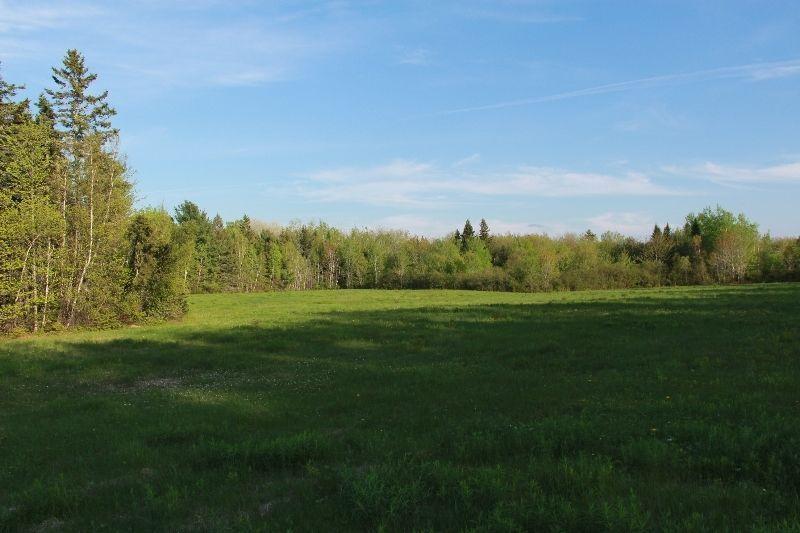 Land for Sale in Rexton Area