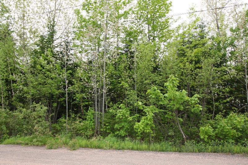 Private 1 Acre Lot Only 10 minutes From ! Pine Point Dr