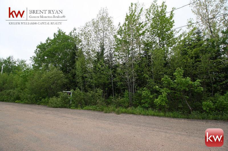 Private 1 Acre Lot Only 10 minutes From ! Pine Point Dr