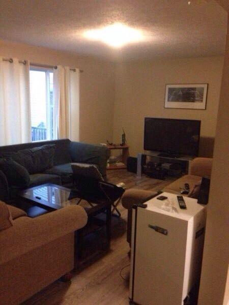 Room mate wanted for 2 bedroom apartment