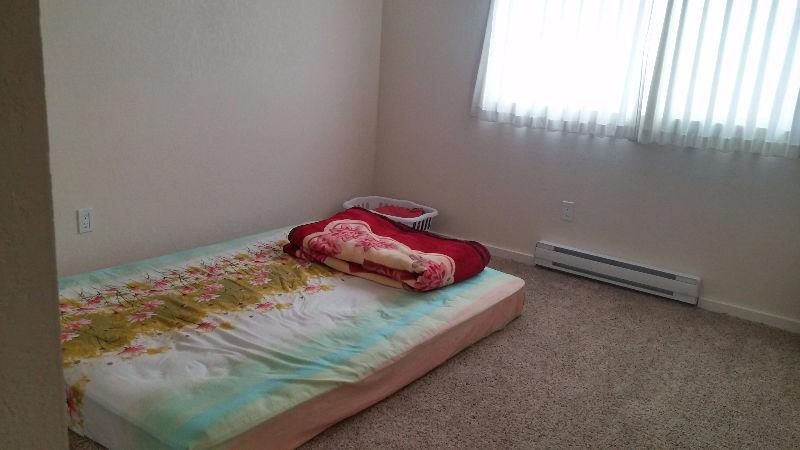 $463 Roommate wanted for One Bedroom Suite ()