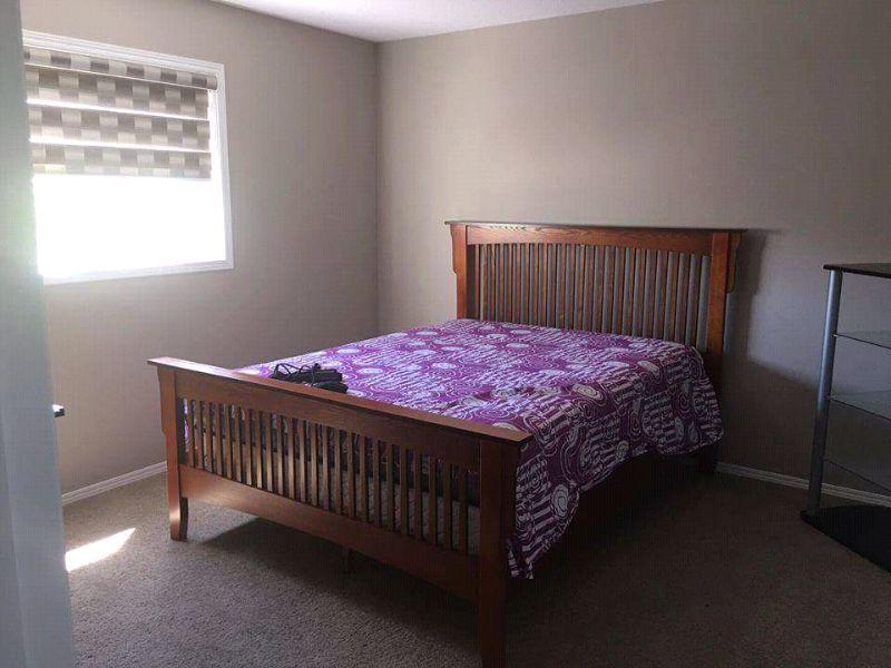 2 fully furnished bedroom available to rent in a brand new house