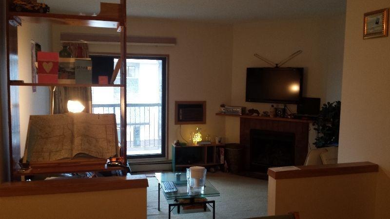 A Room in A 2 BR Apartment-995 Markham Rd from August 1, 2016