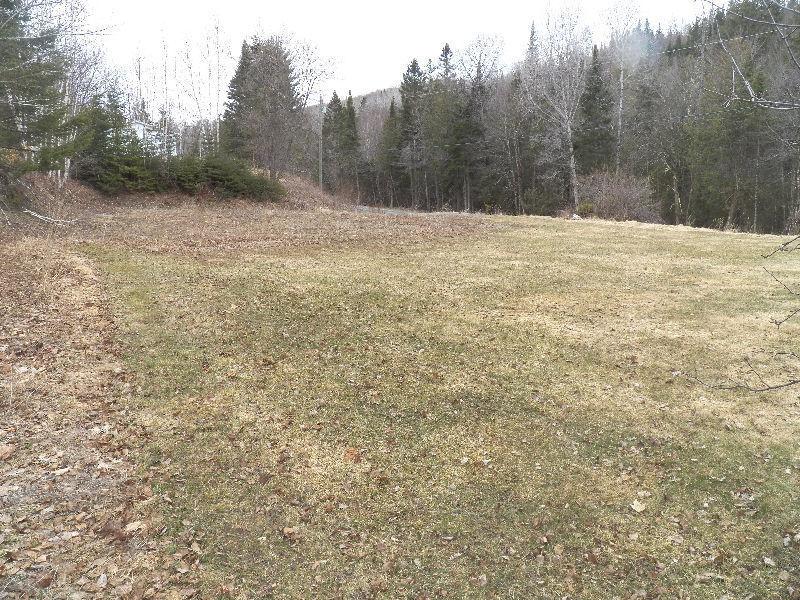 Vacant Lot for Sale Just Outside of Perth-Andover Town Limits