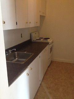 Bright & Spacious 1BR Unit in Windsor