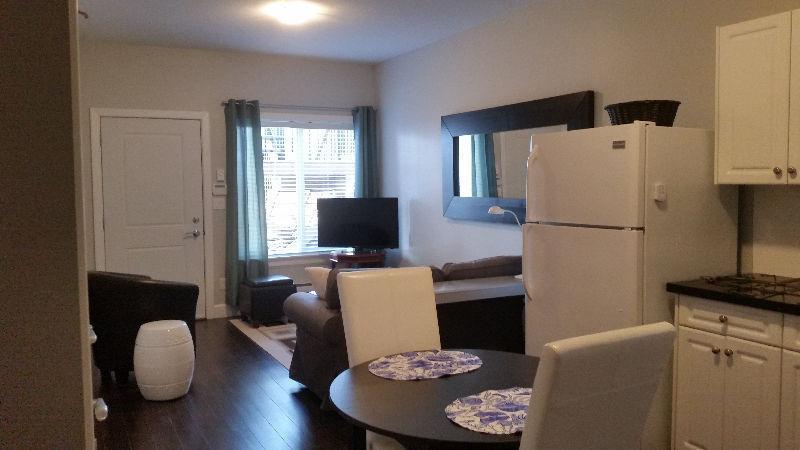 Fully Furnished and Equipped One Bedroom Apartment