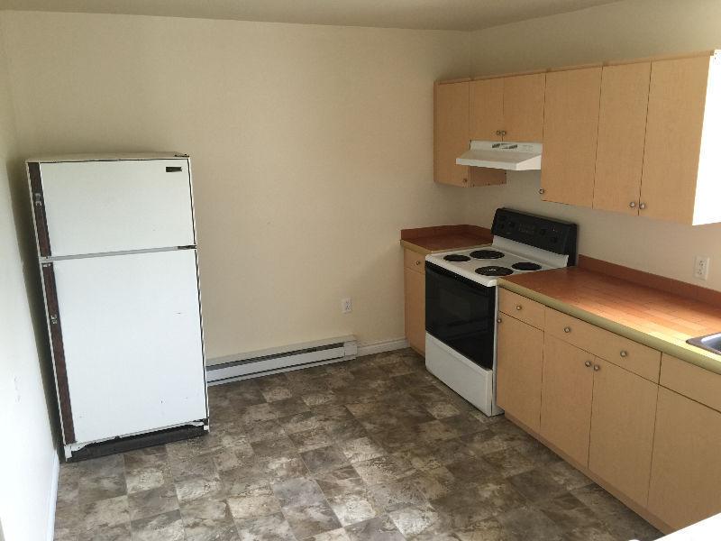 Newly renovated large one bedroom apartment