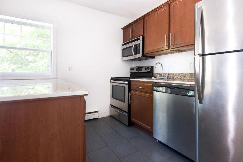 RENOVATED 1 BEDROOM STEPS AWAY FROM DAL & IWK AVAILABLE NOW
