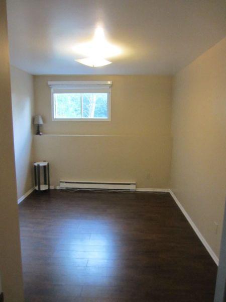 ONE BEDROOM BASEMENT APARTMENT FOR RENT-