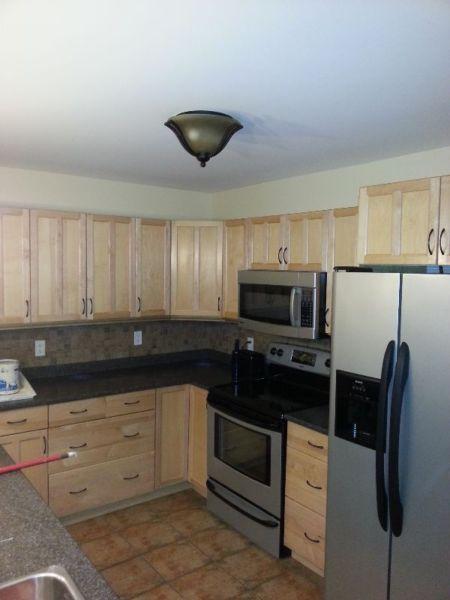 One bedroom furnished executive apartment-Pictou